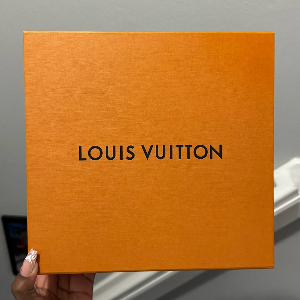 Louis Vuitton Medium Box Authetic